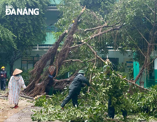Teachers of the Nui Thanh Primary School remove an uprooted tree