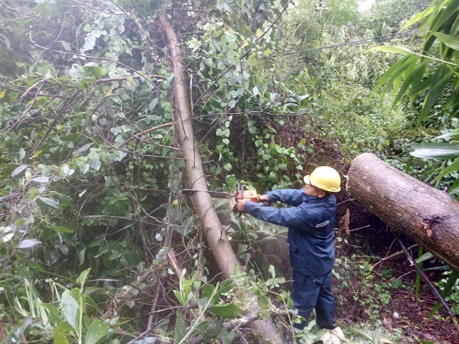 Công nhân Điện lực Hòa Vang đang xử lý cây ngã đỗ vào đường dây tại thôn Lộc Mỹ, xã Hòa Bắc…