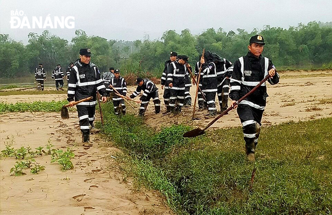 hơn 50 cán bộ chiến sĩ đã đến dọn dẹp rác, bèo trôi dạt vào vùng rau an toàn Túy Loan, xã Hòa Phong (ảnh chụp 13-10). Ảnh: VĂN HOÀNG