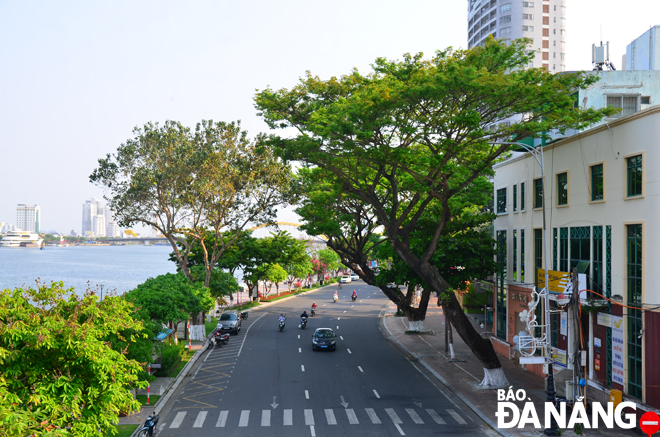 Nhiều năm qua, thành phố Đà Nẵng đầu tư các nguồn lực để xây dựng Thành phố môi trường.  Trong ảnh: Hệ thống cây xanh trên tuyến đường Bạch Đằng tạo sự hài hòa để hướng tới đô thị xanh. Ảnh: XUÂN SƠN