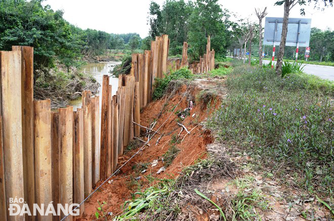 Các đơn vị chức năng đã hoàn thành đóng cọc cừ để bảo vệ đường Bà Nà - Suối Mơ do suối Mơ gây sạt lở sâu vào bờ. Ảnh: HOÀNG HIỆP