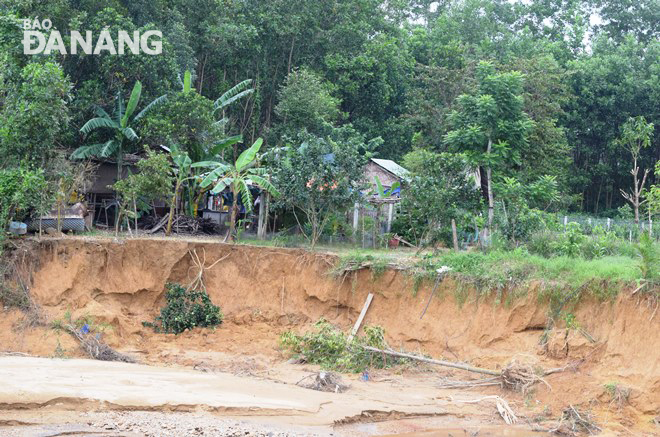 Vệt sạt lở bờ suối Mơ đe dọa khu vực người dân chăn nuôi heo. Ảnh: HOÀNG HIỆP