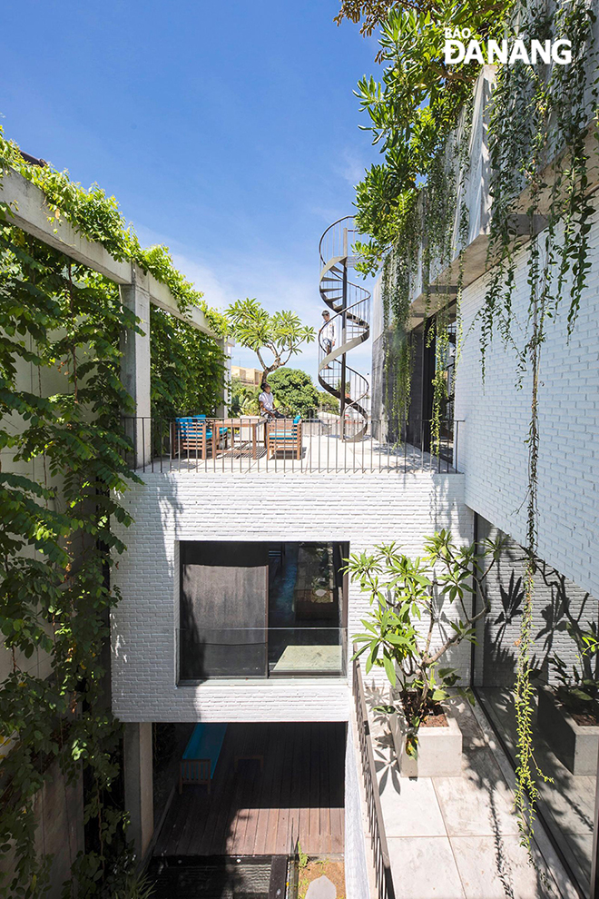 The integration of greenery and careful sequential planning and arrangement of spaces ensure a steady flow of clean air throughout the house and its surroundings.