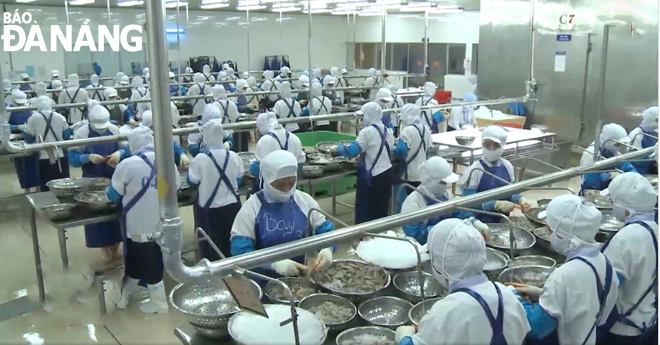  Inside a local seafood processing company in Son Tra District