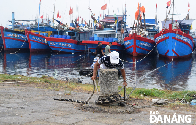 Ngư dân neo, buộc chắc chắn tàu cá tránh bão tại khu vực âu thuyền Thọ Quang. Ảnh: HOÀNG HIỆP	