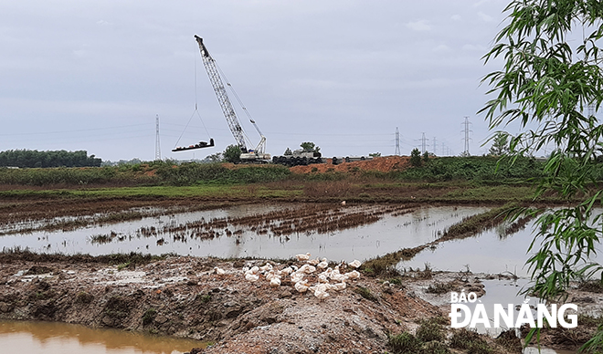 Phòng chống bão số 9 nhưng cũng chú trọng chống lũ trên các sông. Trong ảnh: Vùng ven sông Yên dù nước đã rút nhưng nguy cơ ngập lụt sẽ tái diễn nên cần tiếp tục công tác phòng chống. Ảnh: TRIỆU TÙNG