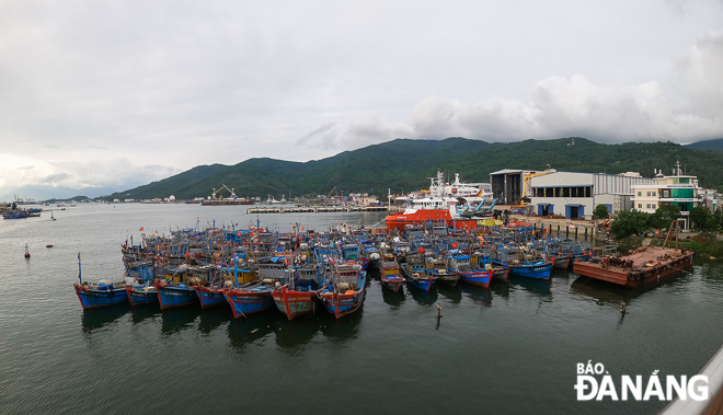 Large numbers of fishing vessels being anchorage at the Tho Quang fishing wharf