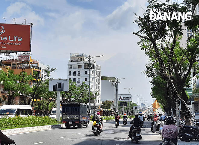 Cắt tỉa cây xanh đường phố trước mùa mưa bão luôn là đạt hiệu quả cao để bảo vệ cây xanh đường phố. Ảnh: TRIỆU TÙNG