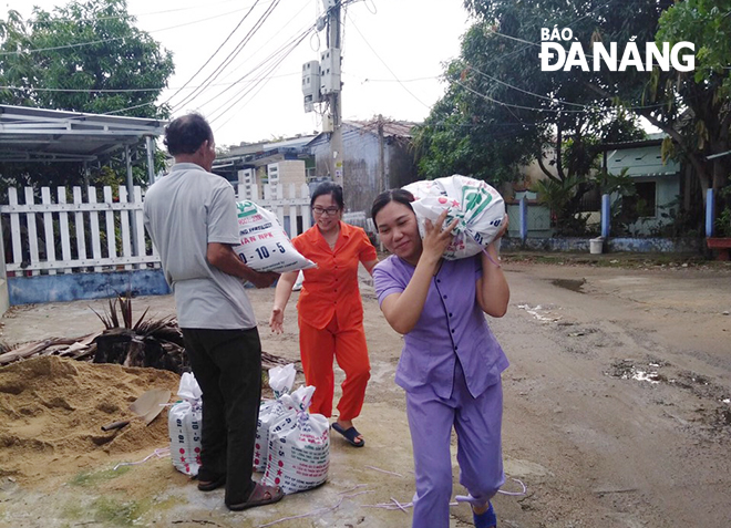 Giáo viên Trường mầm non Hướng Dương (quận Liên Chiểu) vác từng bao cát nặng để chằng chống mái tôn, nhằm hạn chế thiệt hại nếu bão ảnh hưởng đến Đà Nẵng.