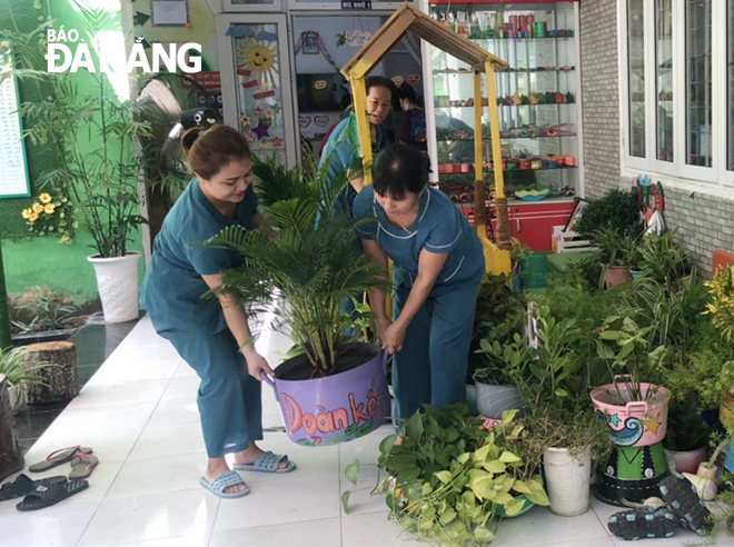 Giáo viên Trường mầm non Bình Minh (quận Hải Châu) bưng các cây cảnh vào các vị trí an toàn, tránh bị gãy đập...