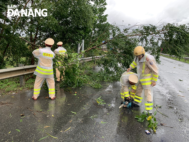 Cảnh sát giao thông Trạm cửa ô Hòa Nhơn tiến hành khắc phục cây xanh ngã đổ. Ảnh: N.P