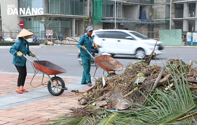 Các lực lượng khác cũng huy động công nhân dọn dẹp, khắc phục sự cố sau bão. TRONG ẢNH: Công nhân Công ty TNHH MTV Cây xanh Đại Ngàn đang thu gom rác. Ảnh: VĂN HOÀNG.