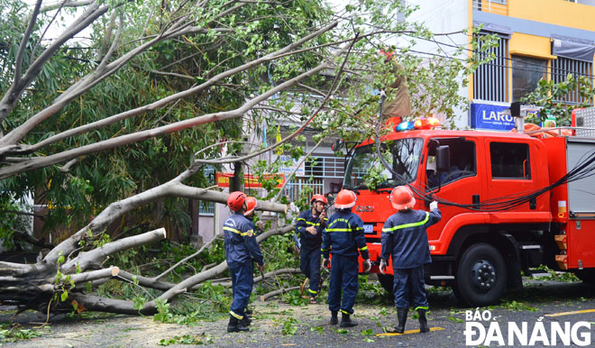 Lực lượng Cảnh sát Phòng cháy, chữa cháy và phương tiện được huy động tối đa trong 2 ngày 28 và 29-10 để  xử lý cây ngã đổ. 								          Ảnh: XUÂN SƠN