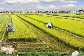Hoàn thiện thể chế, chính sách pháp luật tạo động lực phát triển nông nghiệp nông thôn