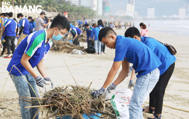 Hàng ngàn đoàn viên, thanh niên, học sinh, sinh viên ra quân thu gom rác, làm sạch bãi biển. Ảnh: THANH TÌNH