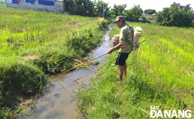 Tại một số khu vực ven sông, suối, ao hồ trên địa bàn Đà Nẵng, thỉnh thoảng người dân vẫn dùng bình kích điện khai thác thủy sản. Ảnh: H.L	