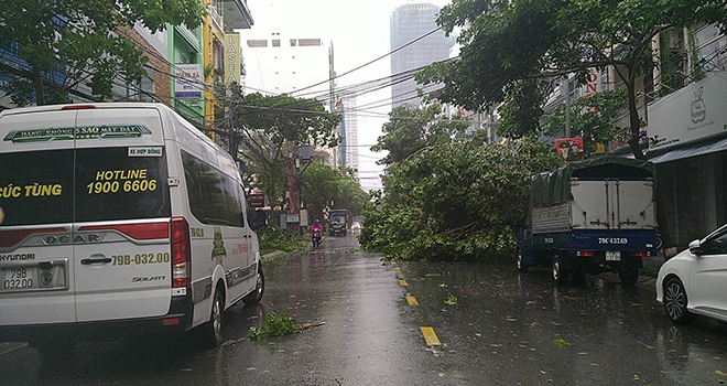 Fallen trees in Khanh Hoa Province (Photo: TTXVN)