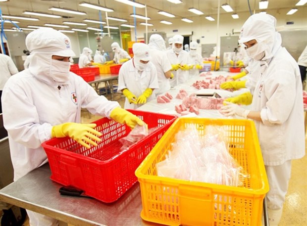 Seafood processed by workers at the privately owned Hong Ngoc Seafood Company at Phu Yen province’s Hoa Hiep Industrial Park. (Photo: VNA)