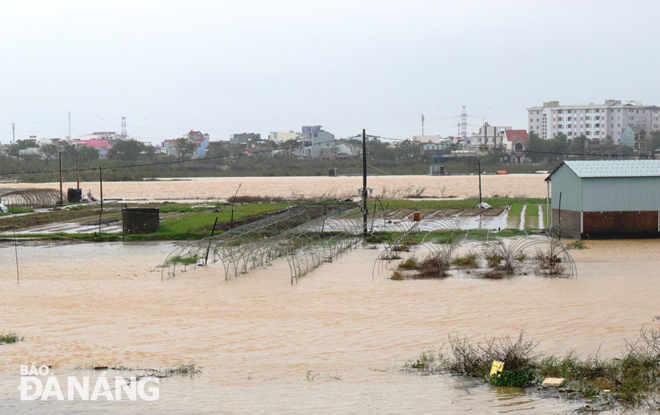 Floodwater penetrating into some of the La Huong vegetable growing village’s parts Hoa Tho Dong Ward, Cam Le District