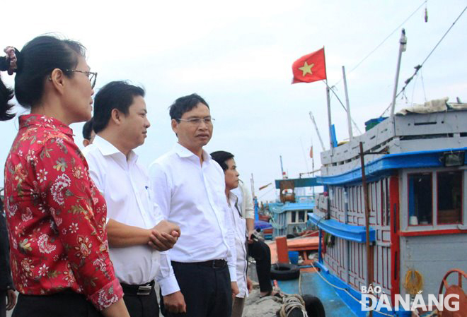 Phó Bí thư Thường trực Thành ủy Lương Nguyễn Minh Triết (giữa) và Phó Chủ tịch UBND thành phố Hồ Kỳ Minh (bìa phải) kiểm tra thực tế công tác triển khai ứng phó bão số 13 tại âu thuyền và cảng cá Thọ Quang vào chiều tối 13-11. Ảnh: HOÀNG HIỆP