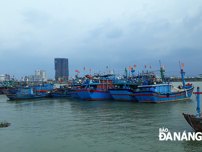 UBND thành phố Đà Nẵng đã công bố thủ tục mở cửa Cảng cá Thọ Quang. Trong ảnh: Khu vực âu thuyển và Cảng cá Thọ Quang Ảnh: TRIỆU TÙNG