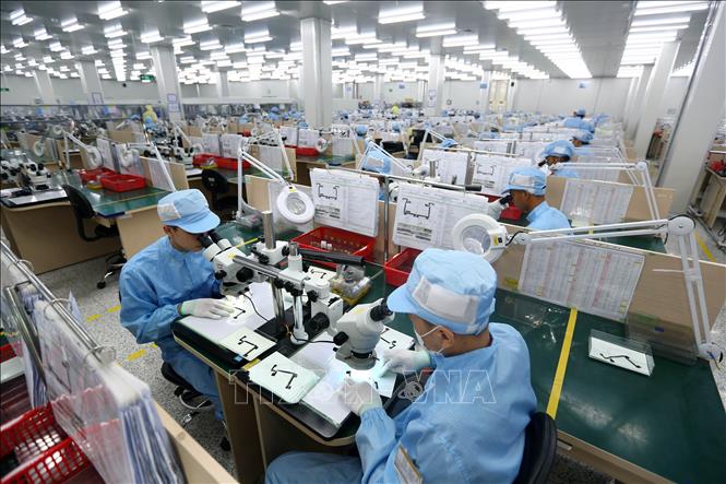 Dây chuyền sản xuất, kiểm tra các bản mạch điện tử dạng dẻo, nhiều lớp tích hợp của Công ty TNHH Young Poong Electronics VINA tại khu công nghiệp Bình Xuyên II (Vĩnh Phúc). Ảnh minh họa: Danh Lam/TTXVN