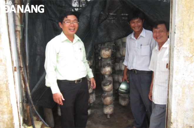 Chủ tịch UBND phường Hòa Khánh Bắc Phan Văn Đại (trái) thăm trại nấm của gia đình ông Phan Lợi. Ảnh: PHẠM BÌNH	