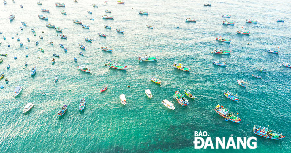 Fishing boats viewed from above