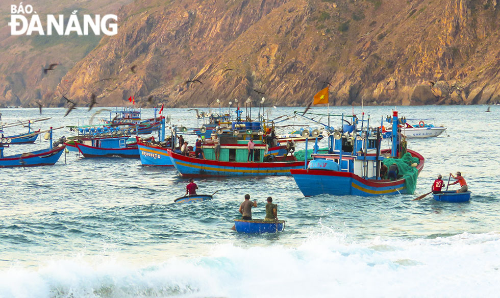 Fishing boats returning to the shore with bumper catches after their night-fishing trips