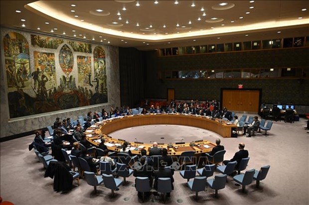 At the working session of the UNSC (Photo: VNA)