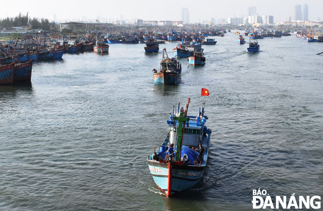 Thành phố cần đầu tư cảng cá có quy mô lớn để thúc đẩy  phát triển kinh tế biển. TRONG ẢNH: Một góc âu thuyền và cảng cá Thọ Quang. Ảnh: HOÀNG HIỆP
