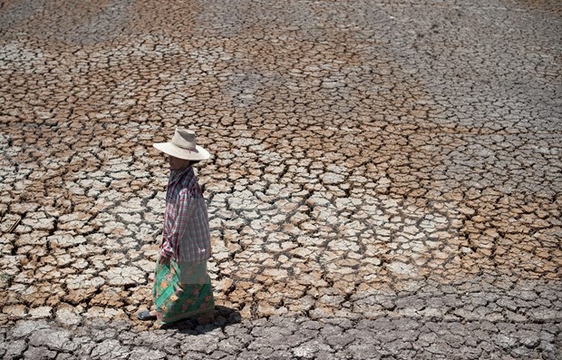 A drought-stricken drought field in Thailand's Suphanburi Province. (Photo: VNA)