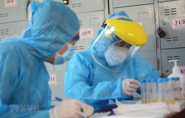 Medical workers handle samples collected for Covid-19 testing (Photo: VNA)