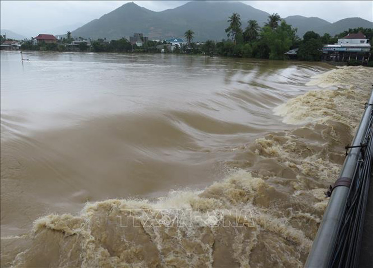 Nước lũ đổ về sông Cái (Khánh Hòa) vào ngày 30/11. Ảnh: TTXVN