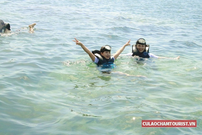 Chương trình lặn ngắm san hô tại Cù Lao Chàm rất được mọi người yêu thích.