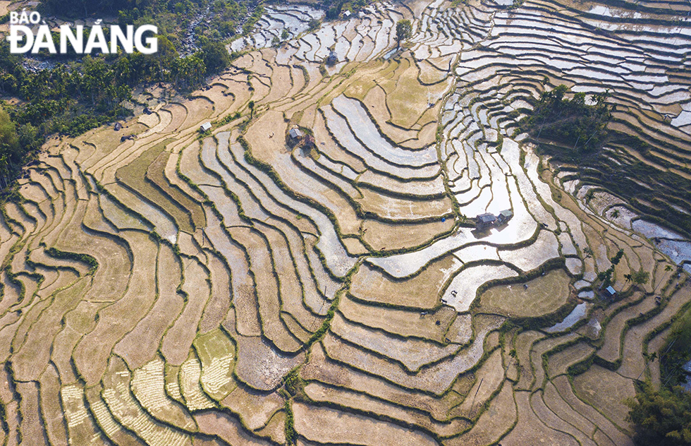 Waterlogged terraced fields look like spectacular collages when seen from above during the watering season