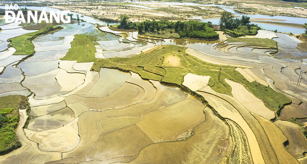  Farmers directing silt-covered water through bamboo tubes to irrigate the fields