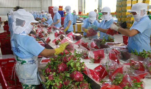 Vietnamese firms have room for exports of key products such as seafood, fruit, vegetables, electronics and electronic components, textiles, furniture and footwear to the Eurasian region.