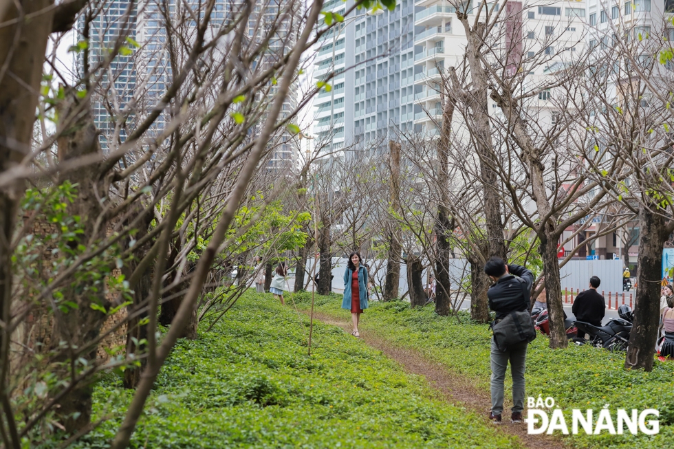  The deciduous trees which have been stripped of the leaves boast their own beauty in such a romantic winter setting