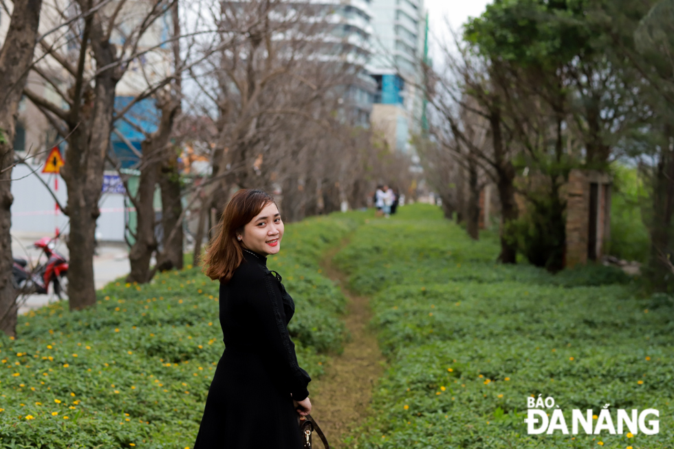  Many people enjoying standing next to the rows of rosewood trees  and yellow flowers on green grass for photo shootings