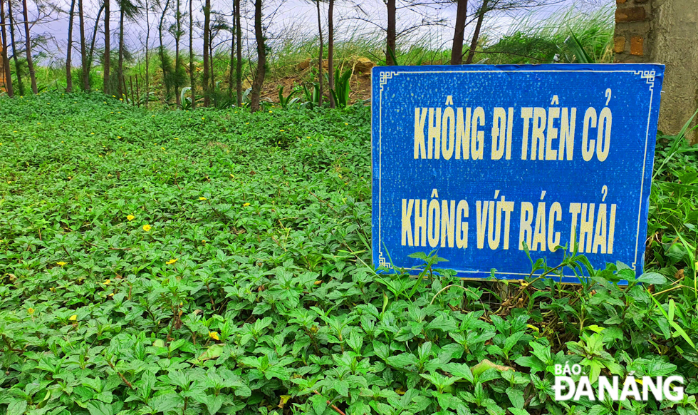 A sign reminding the public of avoiding walking on grass and littering