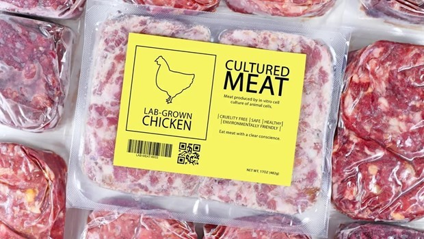 Nhập mô Lab-grown chicken meat will make its debut at Robertson Quay in Singapore this weekend. (Photo: Getty Images)