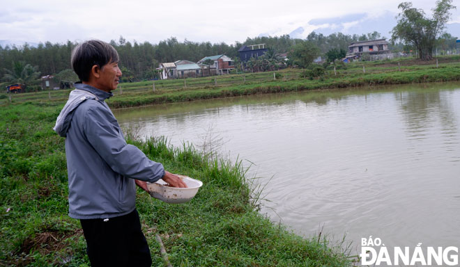 Cựu chiến binh Phạm Trí Toán bên ao cá trong trang trại kết hợp vườn-ao-chuồng của gia đình ông tại xã Hòa Khương (huyện Hòa Vang). Ảnh: MAI HIỀN