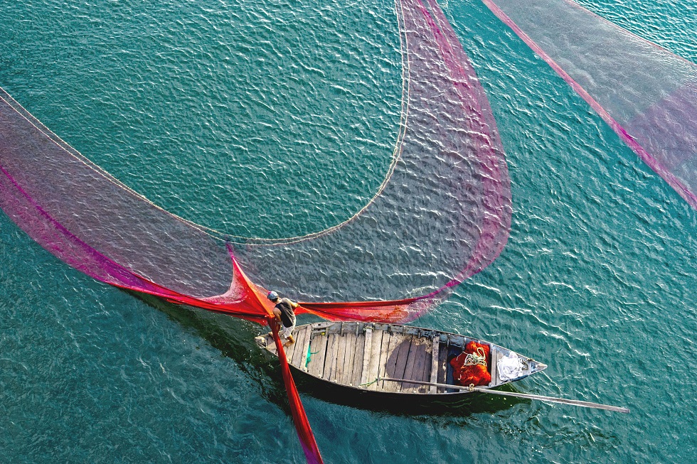  When the tidal water recedes, fishermen usually place nets at the mouth of the Cua Dai sea to catch fish