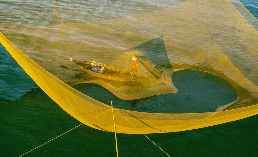  An eye-catching scene of catching fish by using drag nets