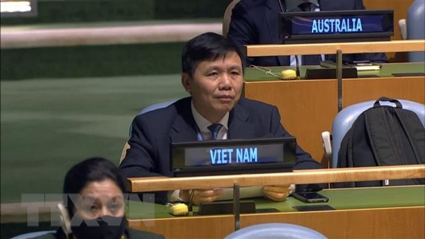 Ambassador Dang Dinh Quy, head of the Vietnamese mission to the UN (Photo: VNA)