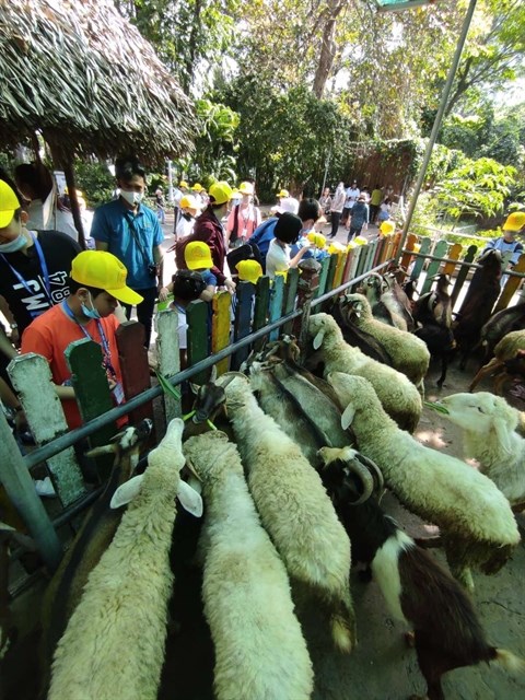 Children on a sightseeing tour at the Sai Gon Zoo and Botanical Garden in HCM City (Photo: VNA)