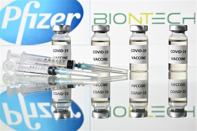 Hình ảnh minh họa vaccine phòng bệnh viêm đường hô hấp cấp COVID-19 do các hãng dược Pfizer (Mỹ) và BioNTech (Đức) phối hợp bào chế. Ảnh: AFP/TTXVN