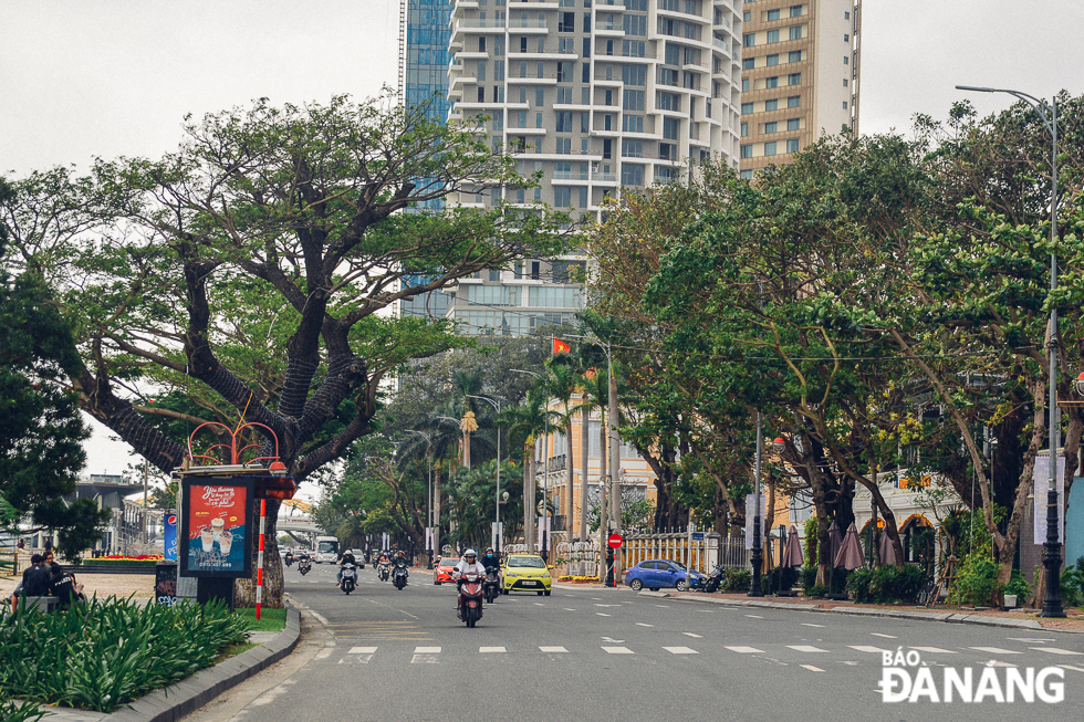 Such major downtown Tran Phu, Bach Dang and Le Duan saw few road users on the first day of the New Year holiday break. Here is a quieter corner of Bach Dang Street.