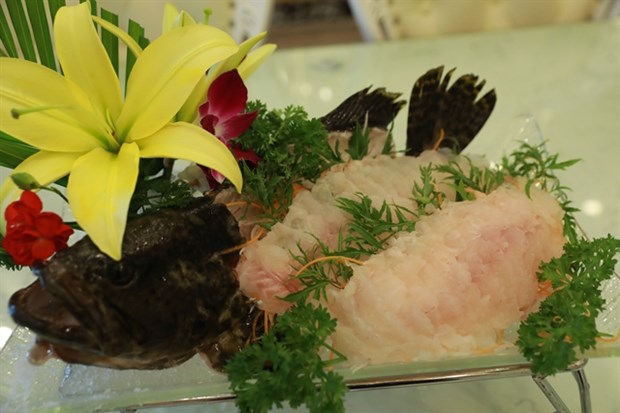 The Thanh Hoa style goi ca, or fresh garupa fish on an ice bed. (Photo: VNA)